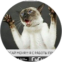 Светлана Баклага profile picture